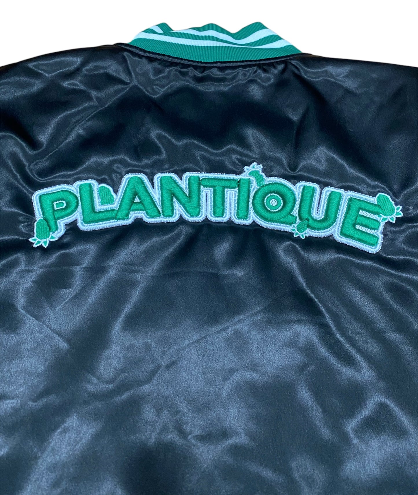 Plantique Varsity Bomber back view puff embroidery